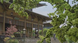 第12集 為娶妳而生的權宜之計