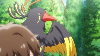 第11集