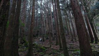 第1集