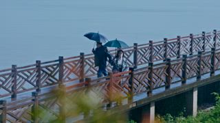 第20集 小雨不在了！