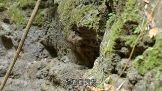 第3集 胡來初試啼聲 好友旅客試營運