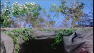 第24集