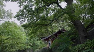 第8集