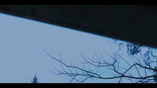 第1集 戰爭或和平