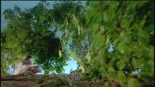 第29集