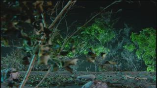 第8集