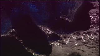 第44集