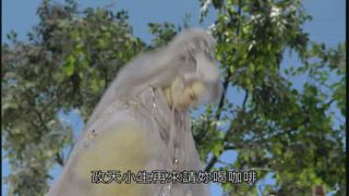 第3集