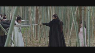 第11集 撞馬而死的真相