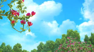 第13集