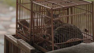 第7集 上家法 ！
