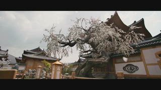 第20集