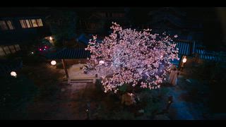 第8集 天雷與萬劍