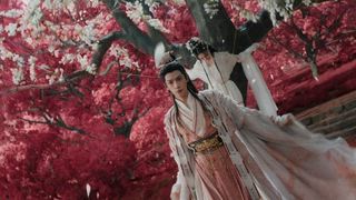 第11集
