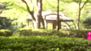 第14集