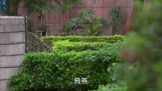 第61集