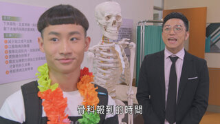 第339集