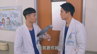 第341集