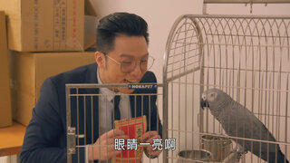 第343集
