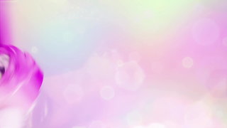 第29集