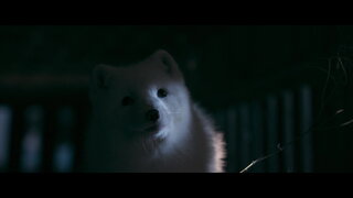 第1集