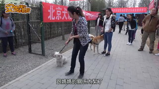 第9集