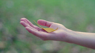 第3集