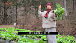 第7集