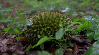 第10集