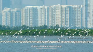 第1集