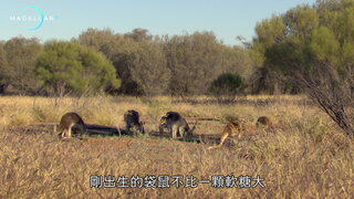 第1集