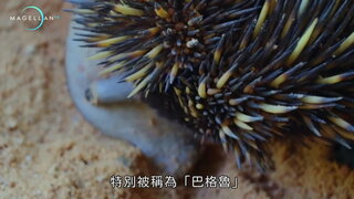 第3集