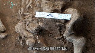 第1集