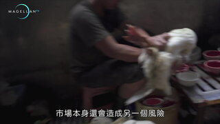 病毒威脅