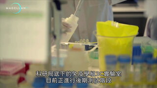 病媒蚊