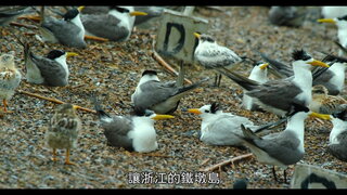 第1集