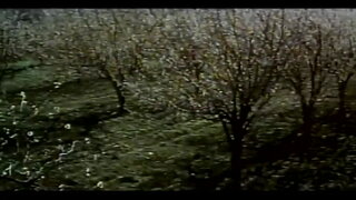 第1集