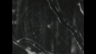 第1集