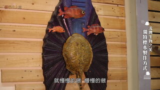 第3集