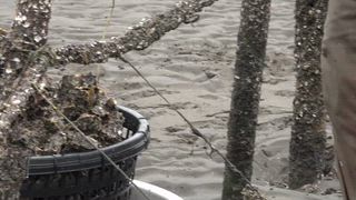 第1集