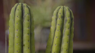 第8集 聖佩德羅－突破維度的載體