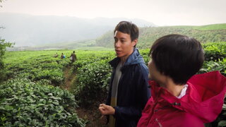 第5集 盧旺達－熱帶雨林的人和動物