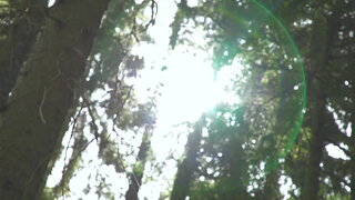 第13集 男神Thor的誕生