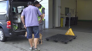第16集 寵物旅行成為各人的成長之旅