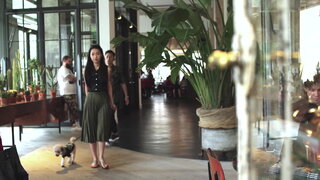 第3集 柏林狗之日常