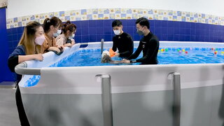 第4集 狗狗日托班