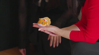 第11集 瑞士－手沖咖啡冠軍Suki及馬林巴琴演奏家Ernestina