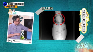 第10集 狗狗體能下降是危險訊號！心臟病