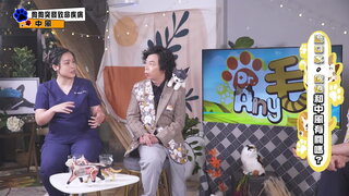 第13集 狗狗突發致命疾病－中風