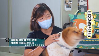 第2集 尿液測試反映患膀胱晶石機會？